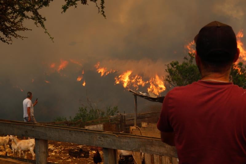 Residentes observan las lenguas de fuego que rodean en el sector Las Rosas de Quilpué.