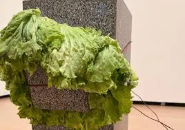 Las esculturas de Giovanni Anselmo 'comen' lechuga en el Guggenheim