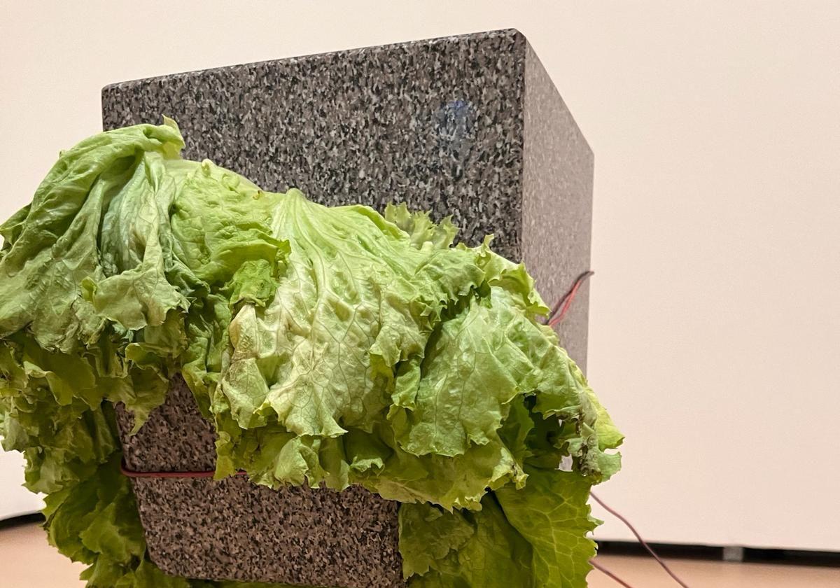 Las esculturas de Giovanni Anselmo 'comen' lechuga en el Guggenheim