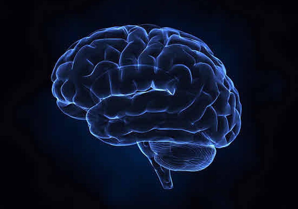 Imagen de un cerebro