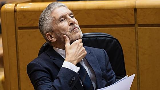 Marlaska al PP: «Yo no hago política con el dolor como ustedes»