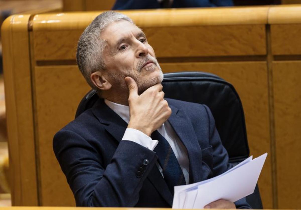 El ministro del Interior, Fernando Grande-Marlaska en el pleno del Senado de este martes