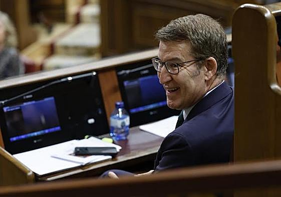 El líder del Partido Popular, Alberto Núñez Feijóo.