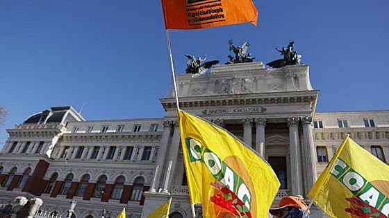 El campo clama contra Bruselas en la calle: «Que nos dejen trabajar en paz»