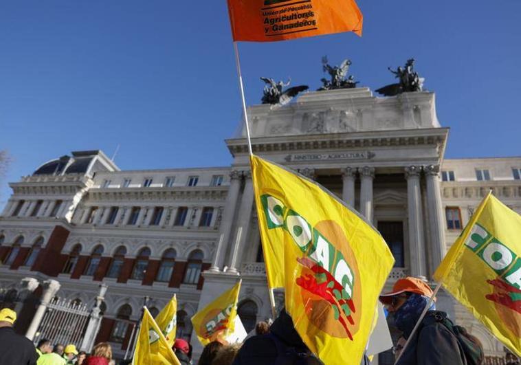 Agricultores y ganaderos se manifiestan este lunes en Madrid.