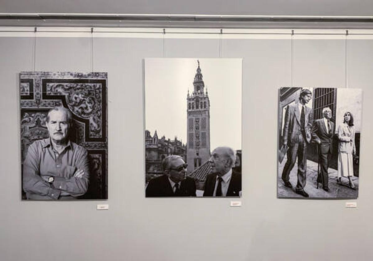 Fotografías colgadas en una pared.