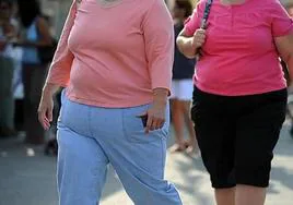 Dos mujeres obesas caminan por la calle.