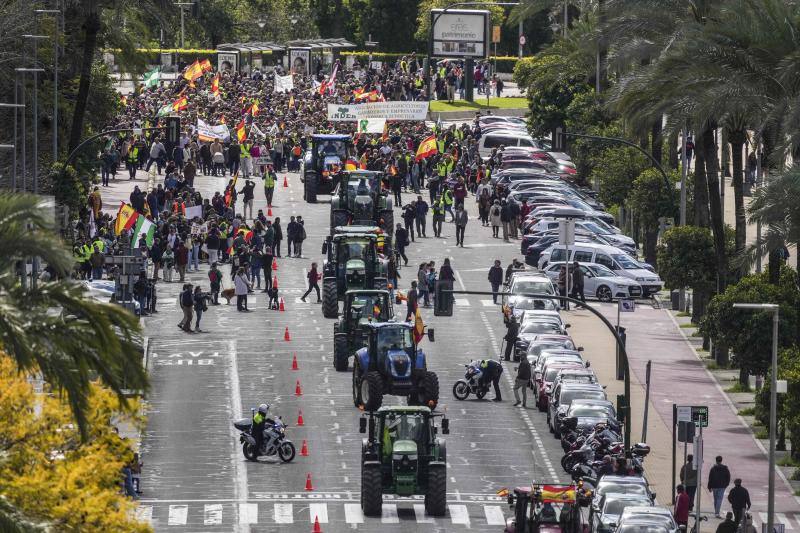 Agricultores protestan este domingo en Córdoba.