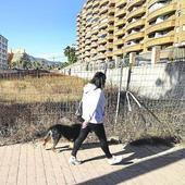 Magic World, el nuevo nombre de un proyecto que plantó cara a Benidorm