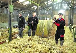Estudiantes franceses realizan prácticas en un establo.