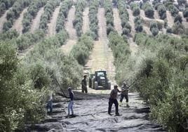 El campo es el sector que se verá más afectado por la reducción de jornada.