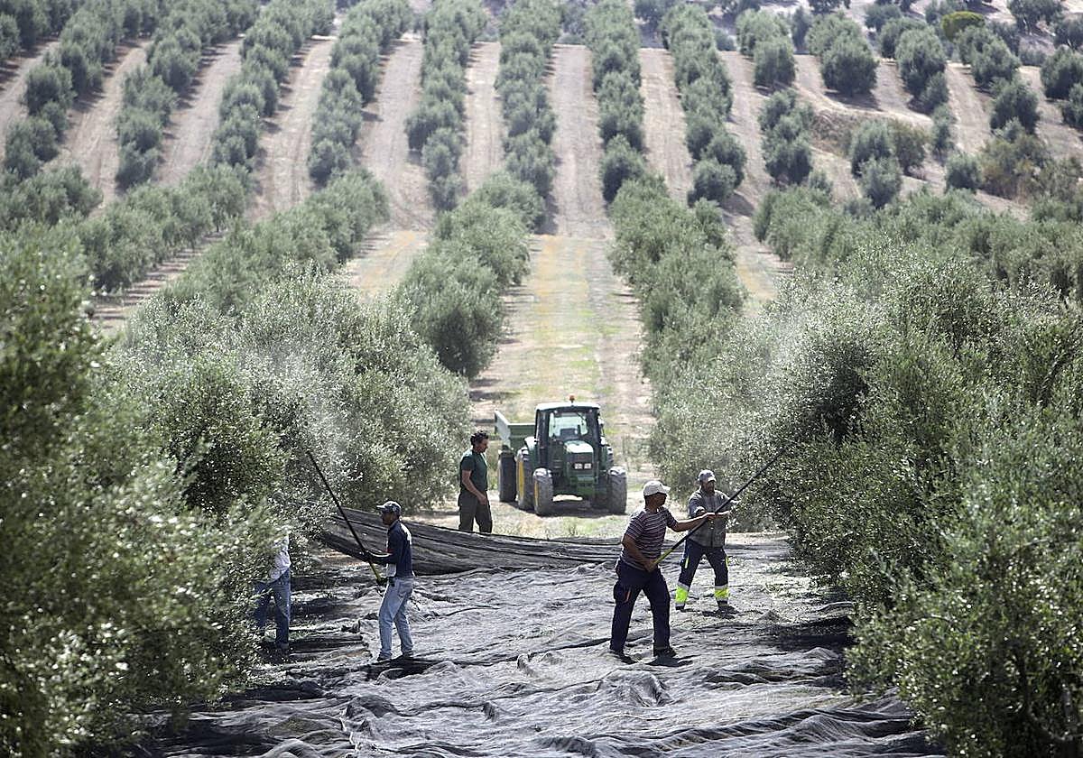 El campo es el sector que se verá más afectado por la reducción de jornada.