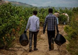 Trabajadores del campo en Lapuebla de Labarca (Rioja Alavesa).