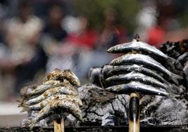 Sardinas en espeto, especialidad malagueña.