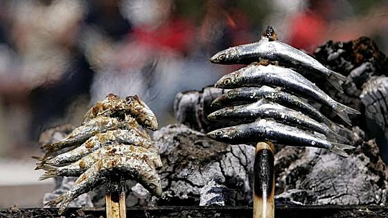 El cambio climático puede eliminar la sardina y la caballa de la dieta