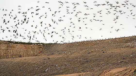 Europa abre expediente de infracción a España por la gestión de los vertederos