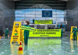 Protesta contra el 'greenwashing' frente al Parlamento Europeo.