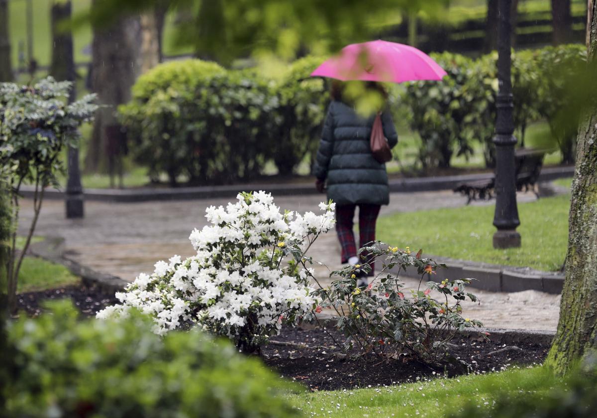 Una mujer pasea por un parque de Oviedo.