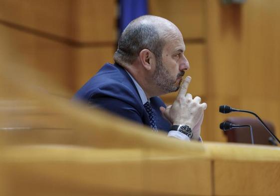 El presidente del Senado, Pedro Rollán.