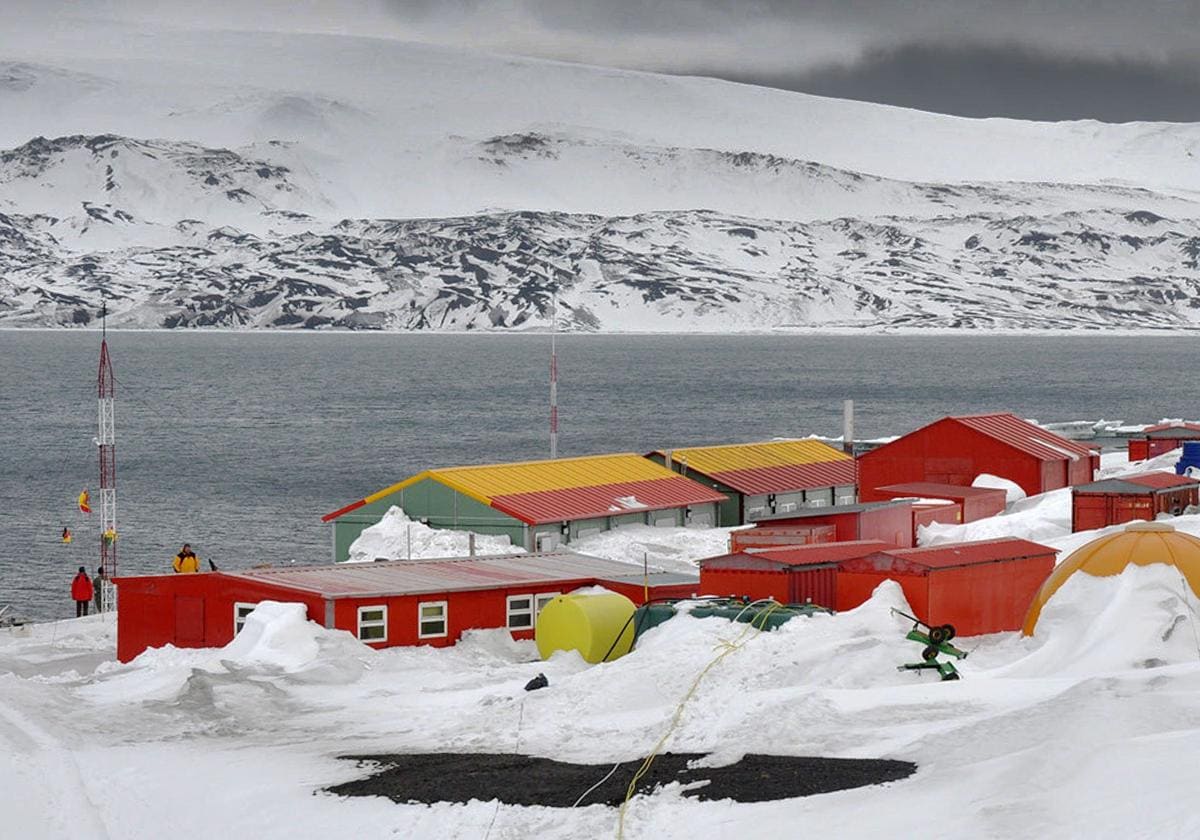 Avian flu threatens Spanish science projects in Antarctica