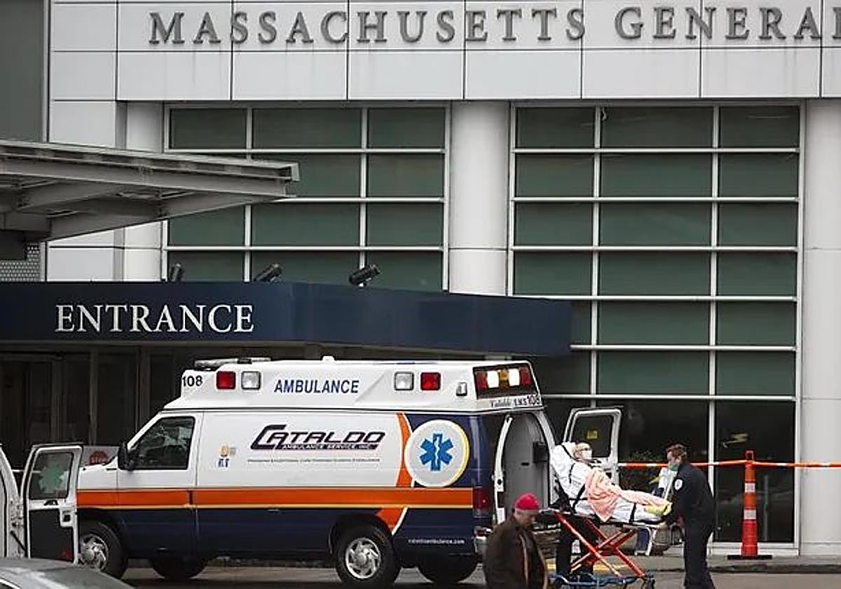 Realizan el primer transplante de un riñón de cerdo a un paciente vivo