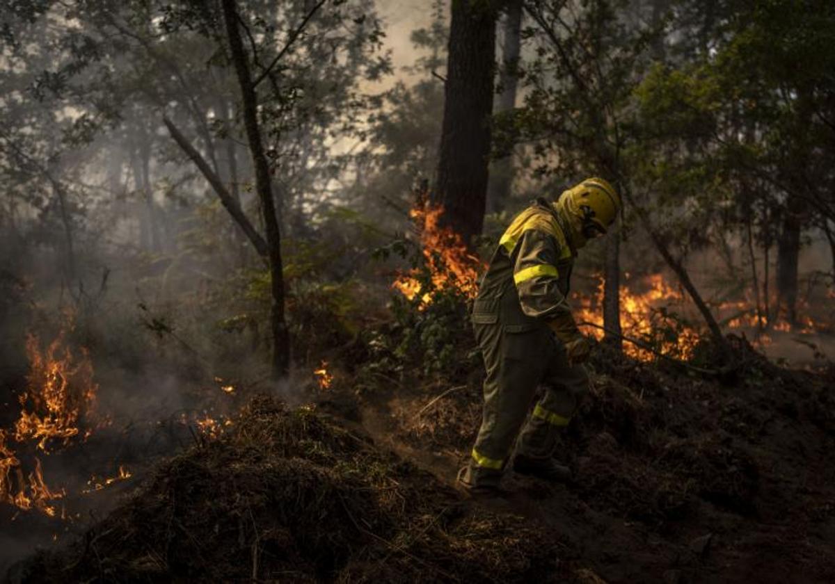 Bombero intenta sofocar un incendio forerstal.