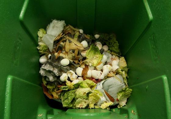 Restos de comida en un cubo de basura.