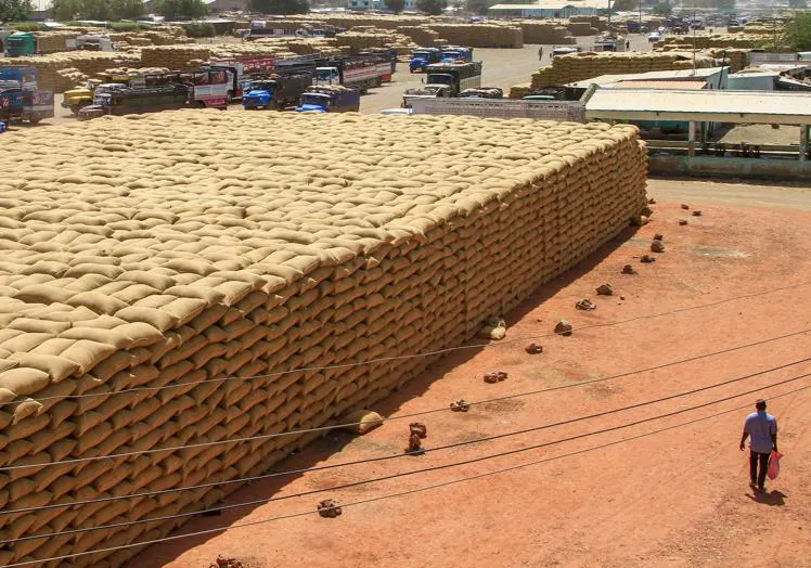 Grain awaiting distribution in Sudan.