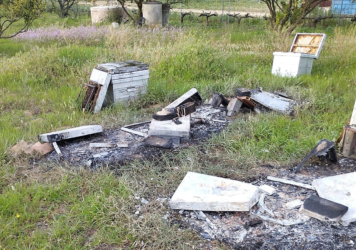 Aspecto de la finca.