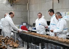 El presidente Pedro Sánchez visita este jueves con Víctor Torres, ministro de Política Territorial y Memoria Democrática, el laboratorio forense de Cuelgamuros.