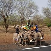 Radiografía del éxodo africano tras el pacto migratorio: Europa, una ruta peligrosa