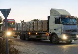 Varios camiones con ayuda entran este viernes en Gaza.