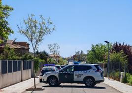 Agentes de la Guardia Civil controlan este sábado la entrada la urbanización Medina Azahara en la localidad de Chiloeches en Guadalajara.