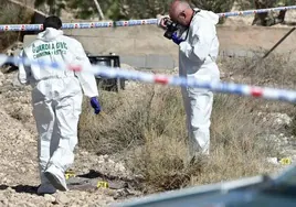 Agentes de la Guardia Civil recaban pruebas en la zona en la que apareció el cadáver.