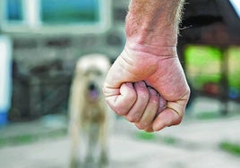 Hombres que matan a su mascota para hacer daño a la mujer