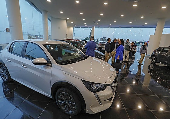 Vista interior de un concesionario.