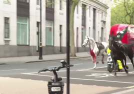 La estampida de varios caballos del ejército provoca el caos en el centro de Londres