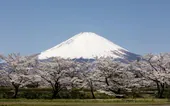 Vista del Monte Fuji, la imagen icónica de Japón.