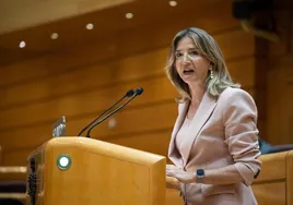 La portavoz del PP en el Senado, Alicia García, en un pleno
