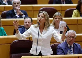 Alicia García, portavoz del PP en el Senado, en un pleno