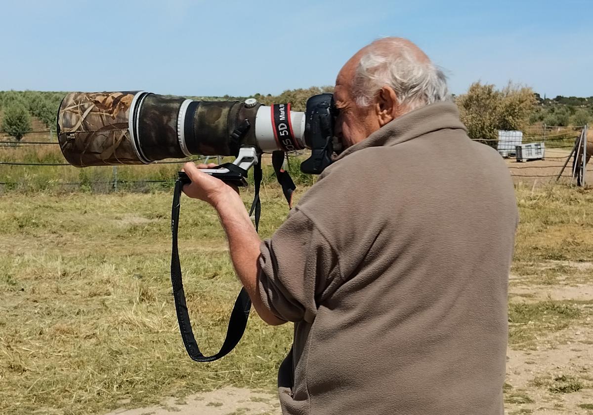 Imagen principal - Arriba, el médico navarro Ignacio Moreno, aficionado a la fotografía de naturaleza y uno de los asíduos a la laguna, dispara con su Cannon. Un avetoro camuflado entre los carrizales; y Luis Frechilla, responsable de los hides del Taray, posa en la finca con parte del humedal al fondo.