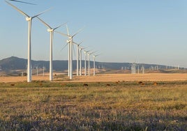 Parque eólico de Tahivilla de Acciona Energía.