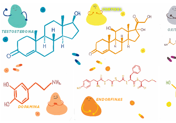 Dopamina, cortisol... seis hormonas que pueden mejorar tu vida (y cómo puedes 'fabricarlas')