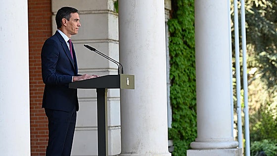 Lea la carta íntegra de Pedro Sánchez a la ciudadanía