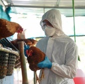 La OMS registra en México la primera muerte humana por gripe aviar en el mundo