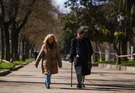 Una pareja de jubilados, paseando por un parque.