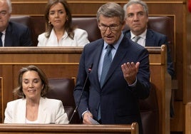 Alberto Núñez Feijóo interpela a Pedro Sánchez en la sesión de control al Gobierno en el Congreso.