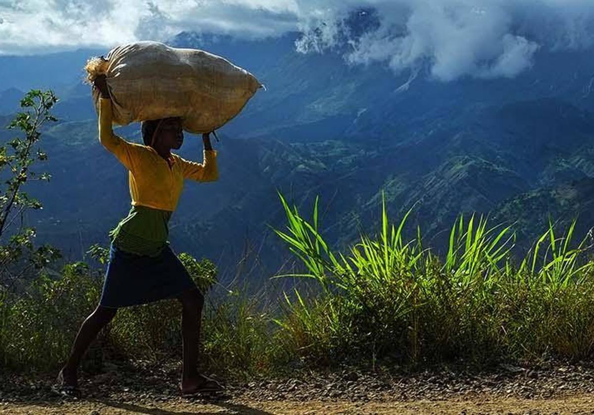 El trabajo infantil comprende el trabajo que los niños son demasiado jóvenes para realizar y/o el trabajo que, por su naturaleza o circunstancias, es probable que dañe su salud, seguridad o integridad moral.