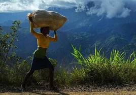 El trabajo infantil comprende el trabajo que los niños son demasiado jóvenes para realizar y/o el trabajo que, por su naturaleza o circunstancias, es probable que dañe su salud, seguridad o integridad moral.