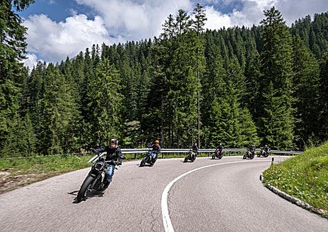 Imagen secundaria 1 - En grupo por Italia 